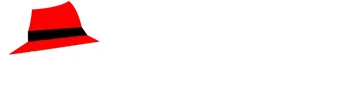  The Detailing Mafia Logo